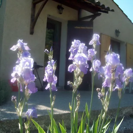 Gite Les Iris La Robine-Sur-Galabre Exterior photo